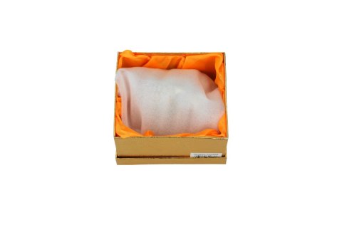 Kasetka metalowa - paw